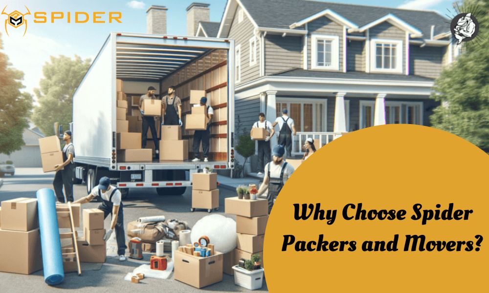 professional local movers in UAE